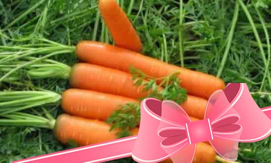 Лучшие маски из моркови: увлажняющие, освежающие, разглаживающие и от прыщей
